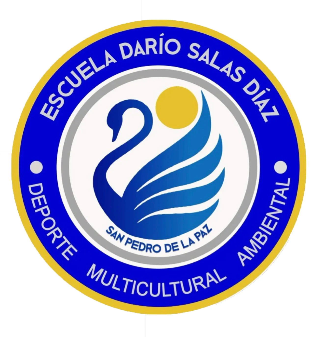 Logo de ESCUELA DARIO SALAS MARCHANT